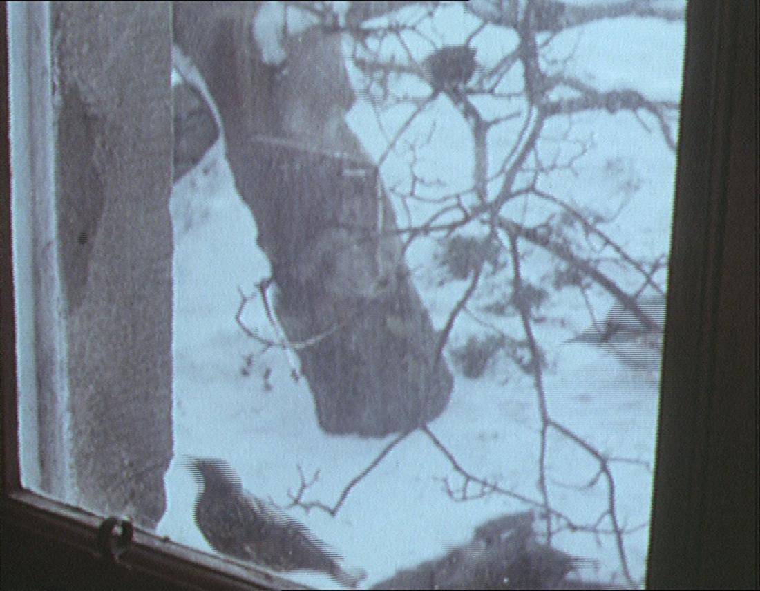 a framed window looking out to tree in snow, with birds decorating the branches and window's exterior edges 