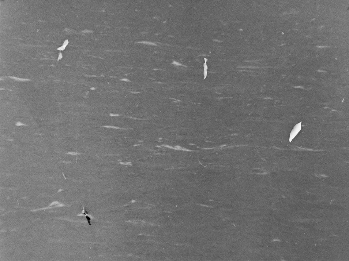 waves raised by wind on the North Atlantic ocean, visibly scratched image tainted by oil of cotoneaster 